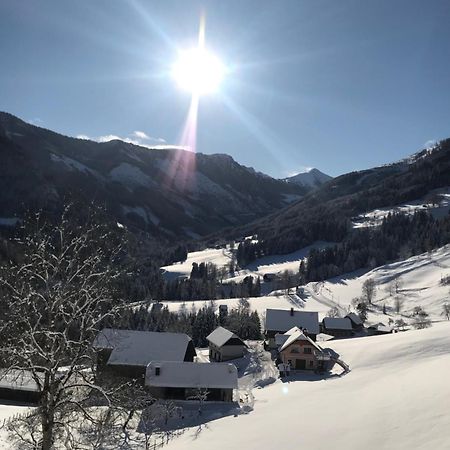 Hintereggerhof Villa Pruggern Luaran gambar